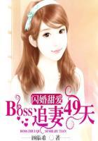 闪婚boss太难缠